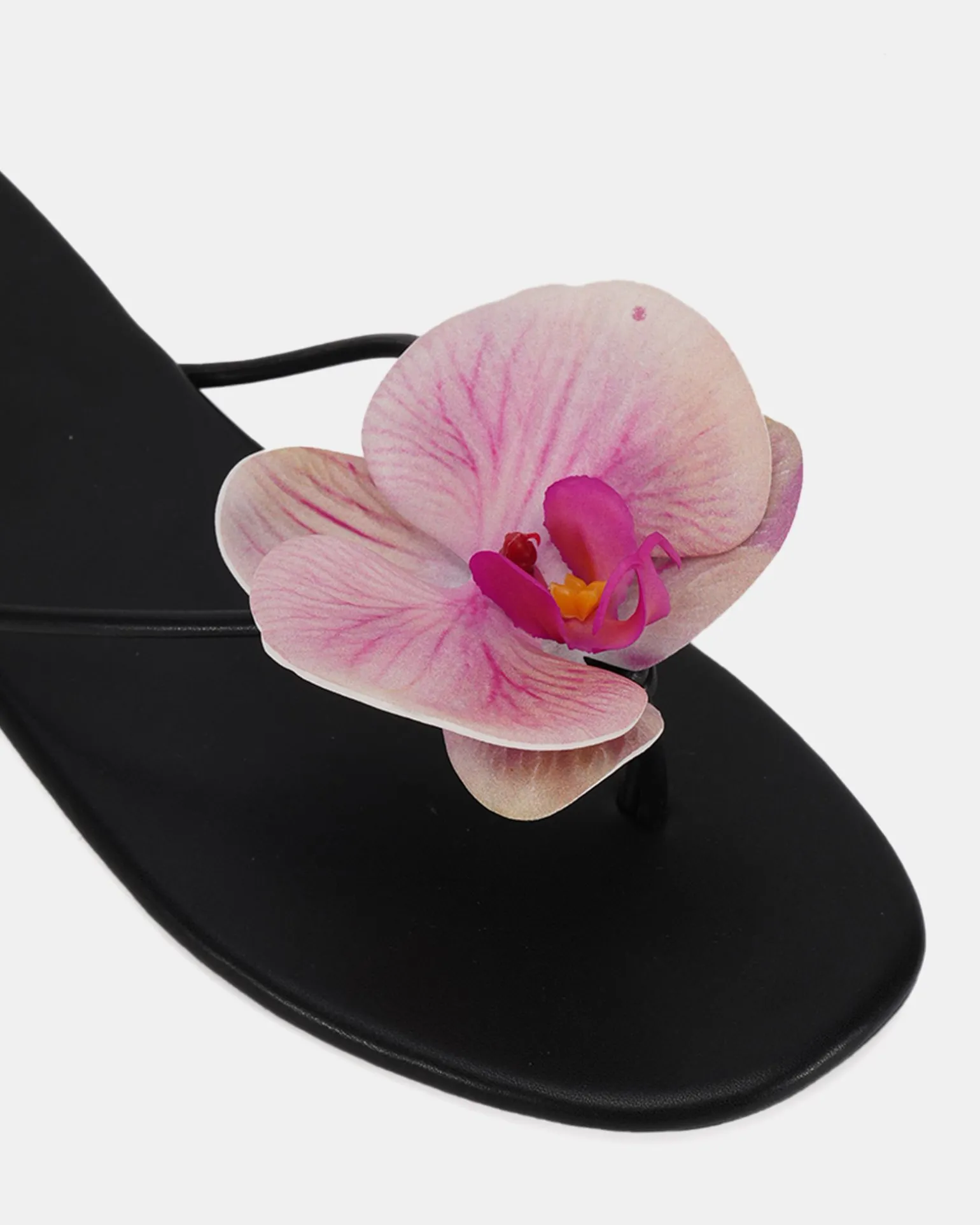 SAPINA BLACK Sandals
